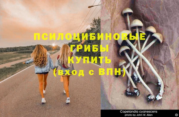 марихуана Беломорск