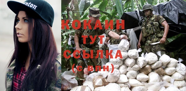 соль ск Белокуриха
