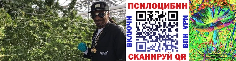 МЕГА tor  shop официальный сайт  Псилоцибиновые грибы Magic Shrooms  Сердобск 